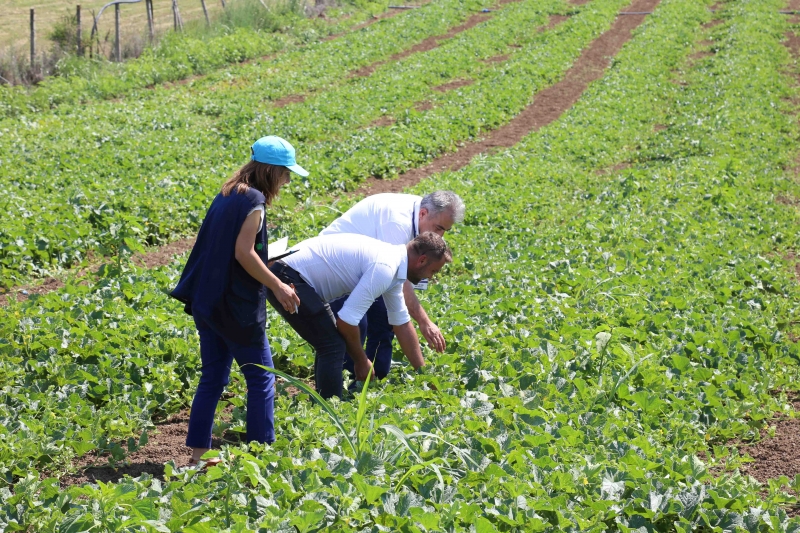 16.5 Milyon TL Değerinde