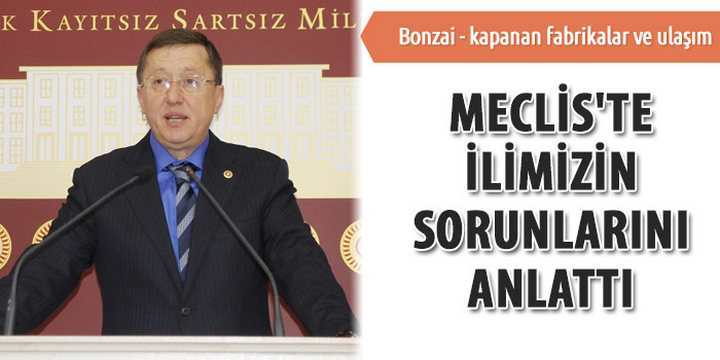 Meclis'te, Kocaeli’nin sorunlarını anlattı