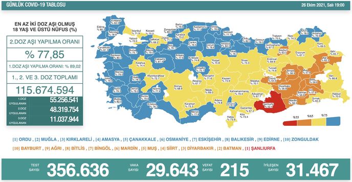 29 bin 643 kişinin testi pozitif 