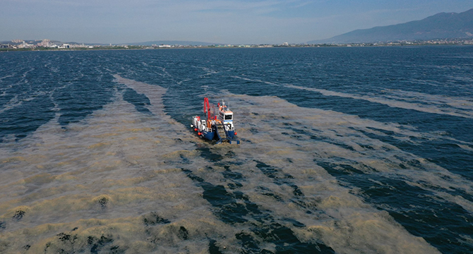 38 günde 100 ton deniz salyası toplandı