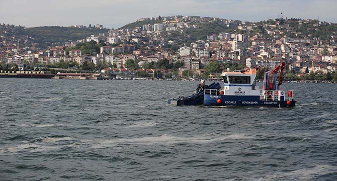 50 günde 150 ton deniz salyası toplandı