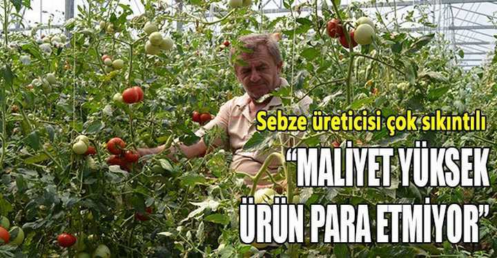 “Maliyet yüksek, ürün para etmiyor”