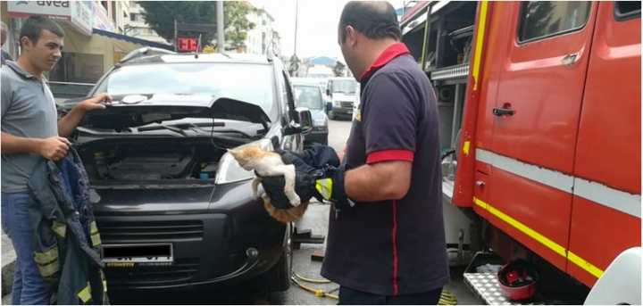 ARACIN MOTORUNA SIKIŞTI!