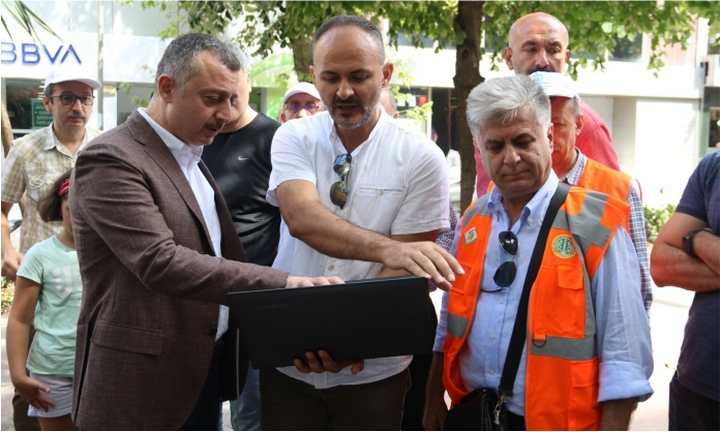 Asırlık çınarların röntgeni çekiliyor