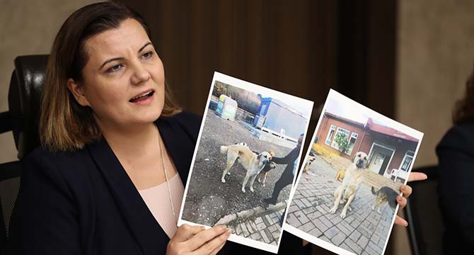 BİR CANLININ CANINA, ASLA KASTETMEYİZ