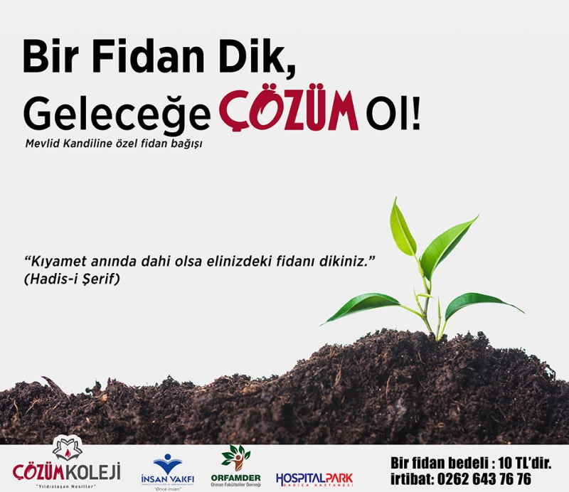 Bir fidan'da sen dik!