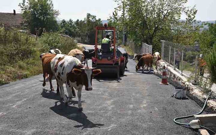 Bir yol daha asfaltla tanıştı