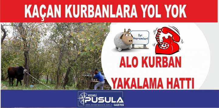 Bu Time İhtiyaç olacak
