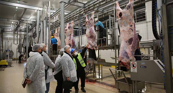 Büyükşehir Mezbahası dünyaya örnek alınıyor