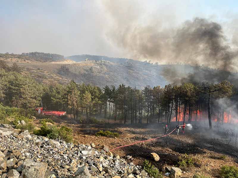 Büyükşehir’den Bursa’daki yangına tam destek