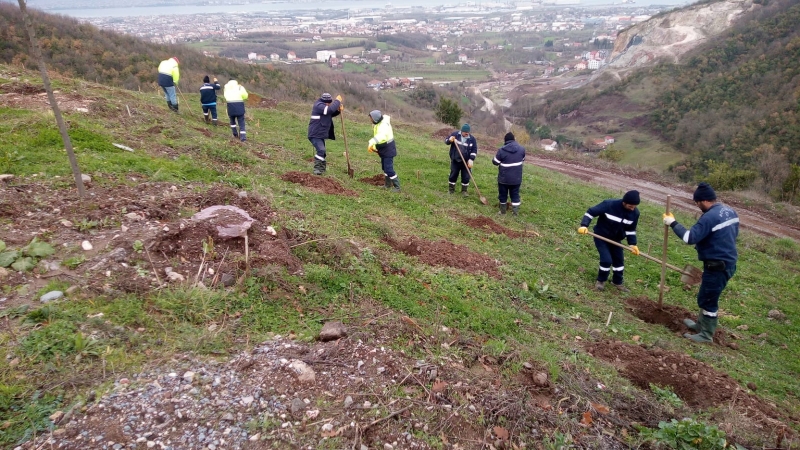 Büyükşehir’den Gölcük Hisareyn’e bal ormanı