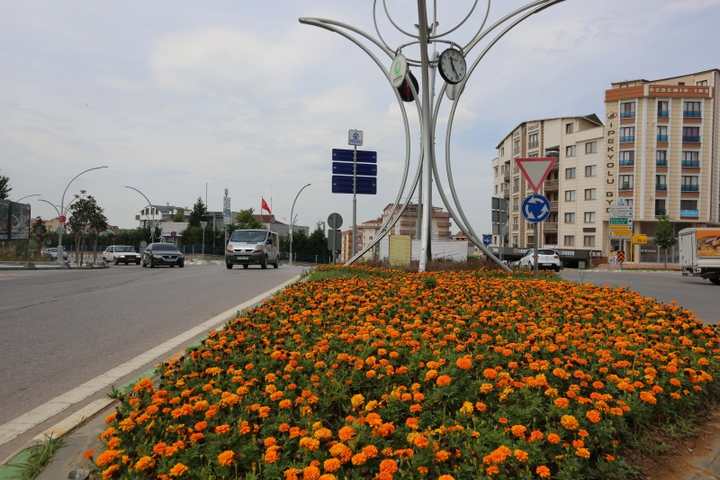 Çayırova’nın Caddeleri Yeşilleniyor