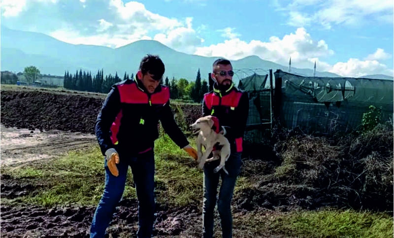 Çukura düşen yavru köpeği A Takımı kurtardı