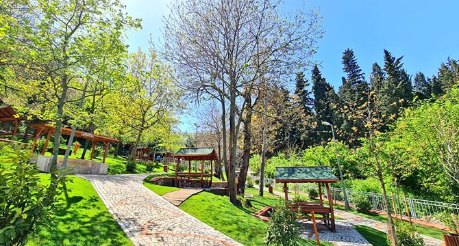 Daha yeşil bir kent için durmadan çalışıyoruz