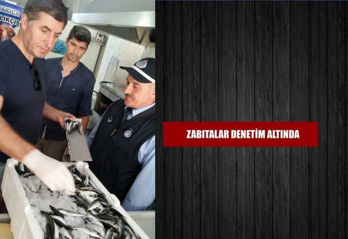 DARICA’DA BALIKÇILAR DENETİM ALTINDA