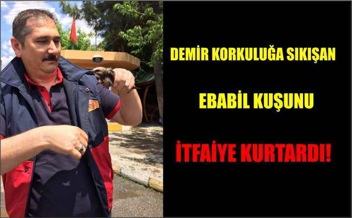 Demir korkuluğa sıkışan ebabil kuşunu itfaiye kurtardı!