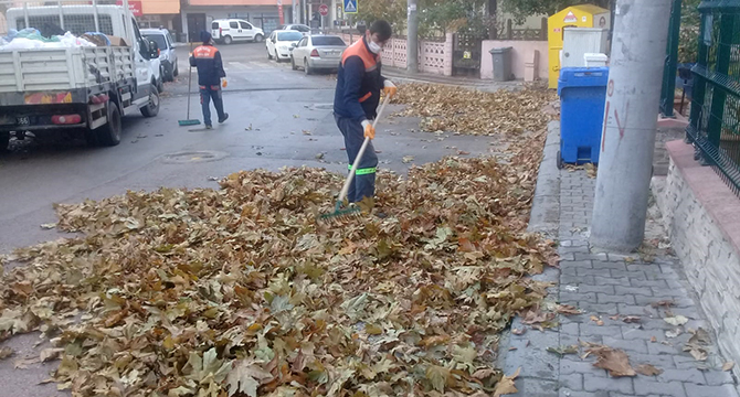 Dökülen yapraklar temizleniyor