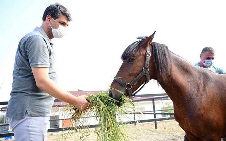 ENGELLİ TEDAVİSİNE DESTEK