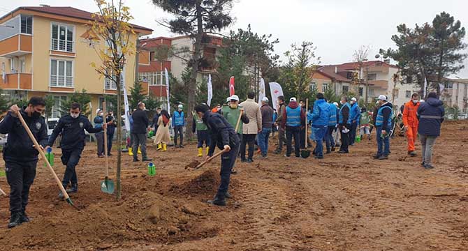 Gebze Gaziler Dağı yeşerecek