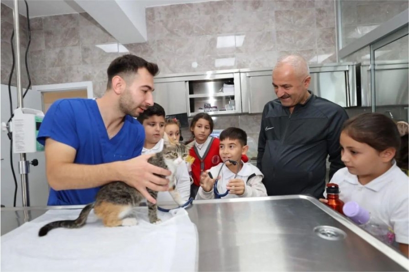 Gebze’de 309 Patili Cana Yeni Yuva Bulundu