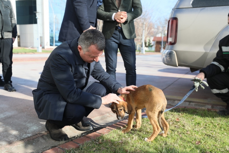  ”Hayvanlara merhamet insan olmanın gereğidir”