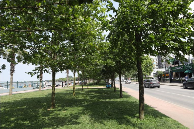 Ihlamur kokusu sardı her yanı