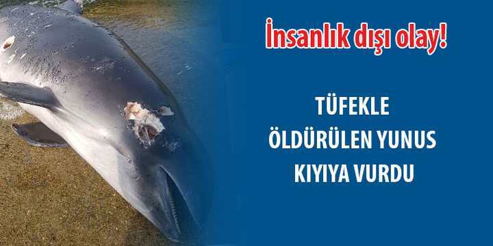 İnsanlık dışı olay !