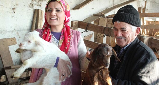 İzmitli üreticilerin sütü daha değerlenecek