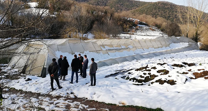 İzmit’te hasar gören seralar yerinde incelendi