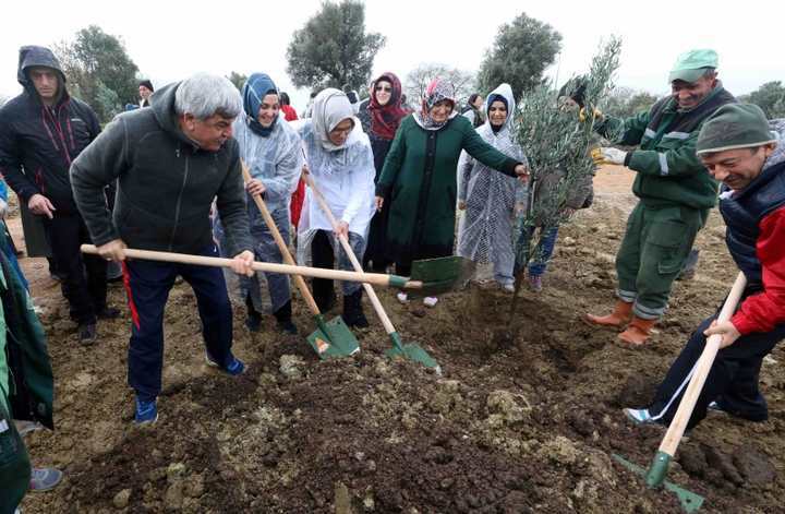 Kadın Kollarından  Zeytin Dalı Ormanı