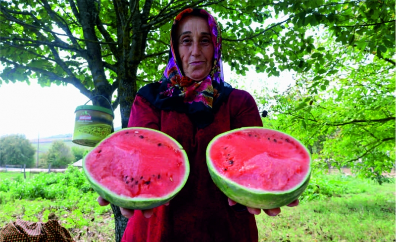  karpuz tohumu üreticilere teslim ediliyor