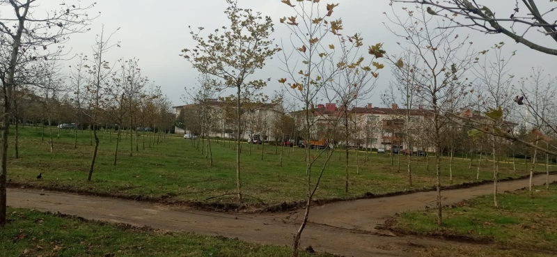 Kartepe Hasanpaşa’ya yeni mesire alanı