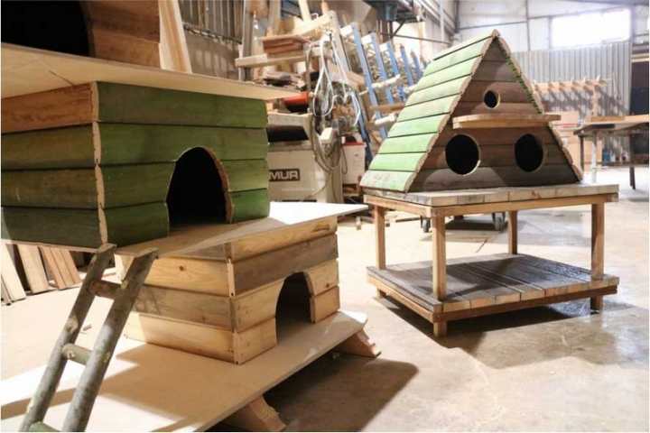 Kocaeli’nin kedi ve kuşları üşümesin