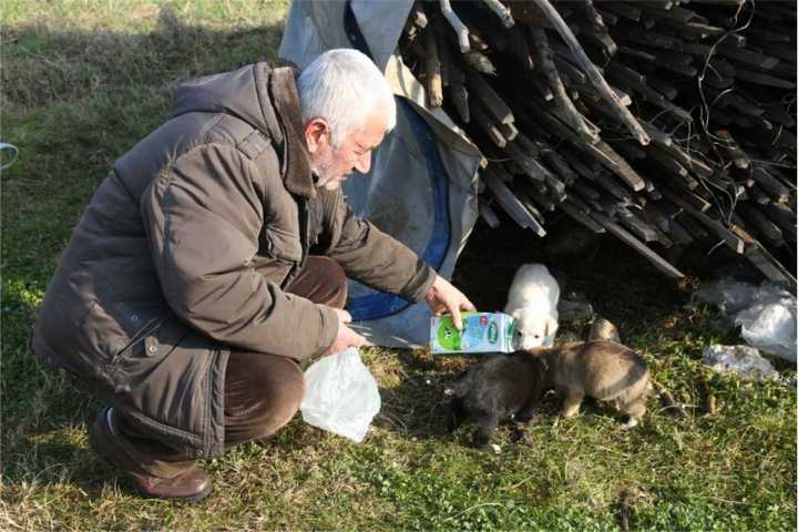 köpeği, itfaiye kurtardı