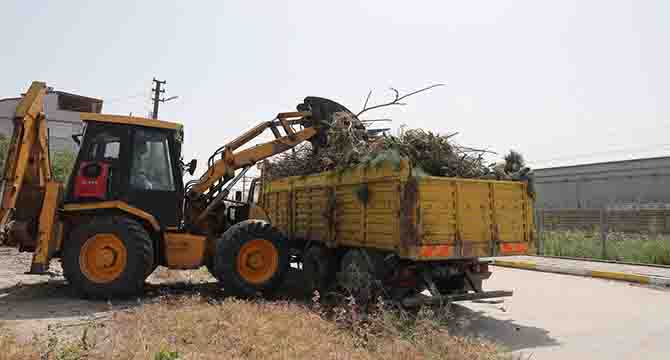 Körfez’de 248 ton bitkisel atık gübreye dönüştürüldü