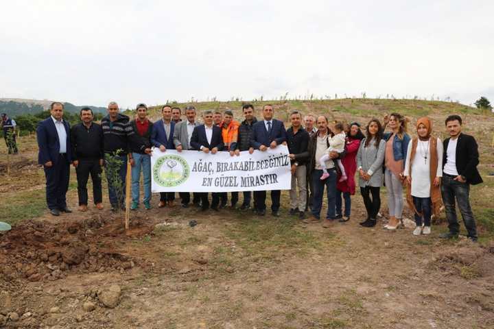 Körfez’de 5 bin fidan  toprakla buluştu 
