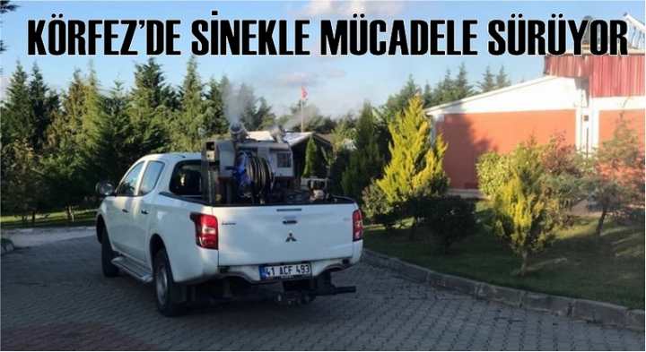 Körfez’de sinekle mücadele sürüyor