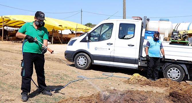 Kurban pazar yerleri ilaçlanıyor