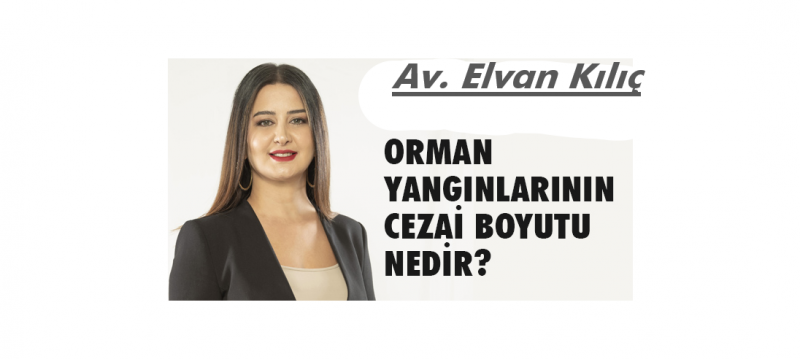 Orman Yangınlarının Cezai Boyutu