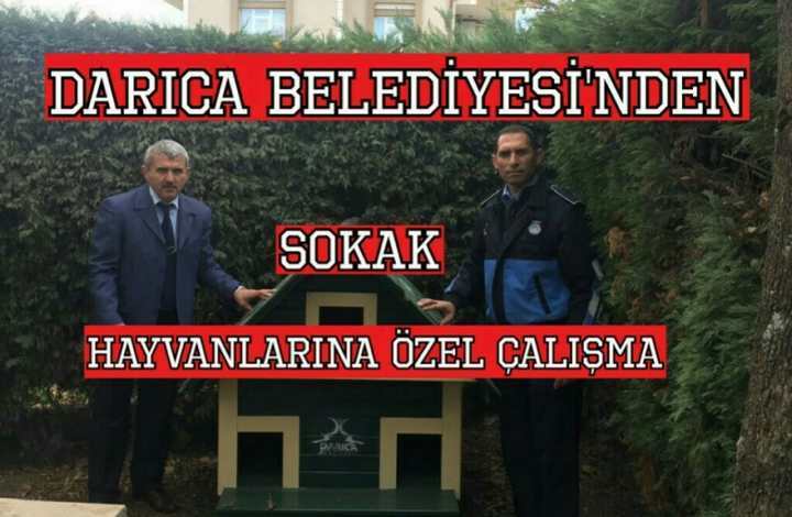 ÖRNEK DAVRANIŞ