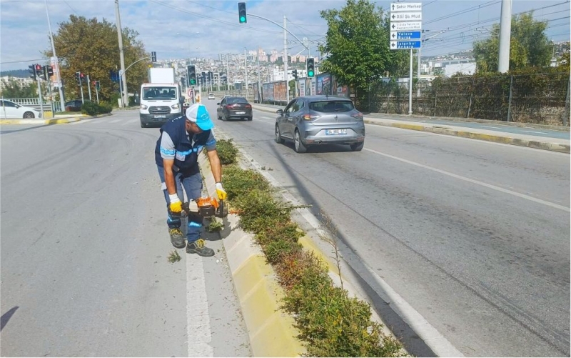 Salim Dervişoğlu Caddesi'nde sonbahar budaması 