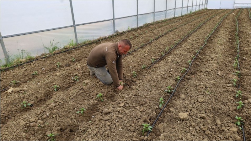 SERACİLİĞİN YAYGINLAŞTIRILMASI HEDEFLENİYOR