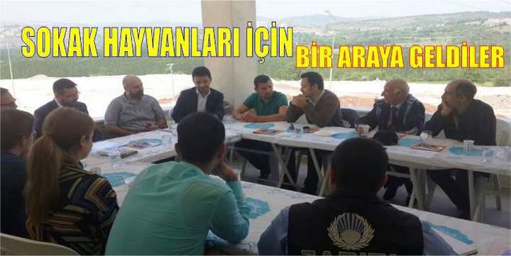 SOKAK HAYVANLARI İÇİN BİR ARAYA GELDİLER