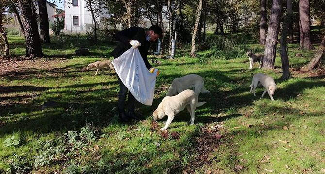 SOKAK HAYVANLARI UNUTULMUYOR