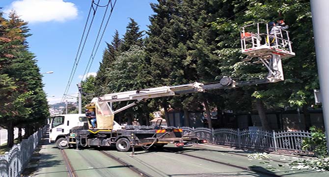 Tramvay hattına zarar verebilecek dallar budandı