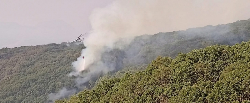 Tunceli’de Yangına Müdahale Sürüyor 