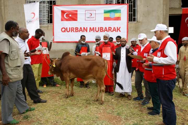 Türkiye’de ve üç kıtada kurban kesimleri başladı