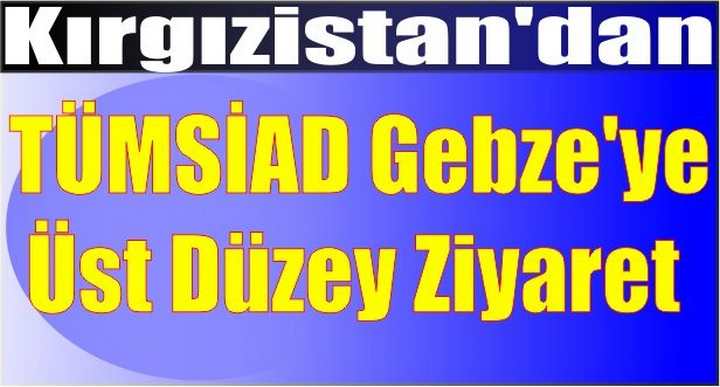 Üst Düzey Ziyaret