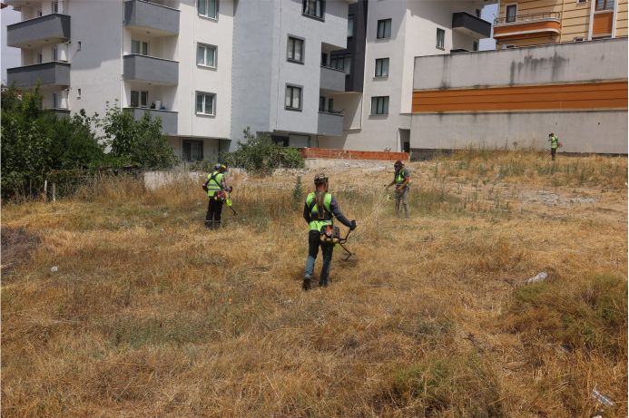 yabani otlar temizleniyor