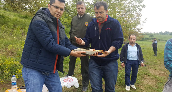 YASAKLAR SONA ERDİ